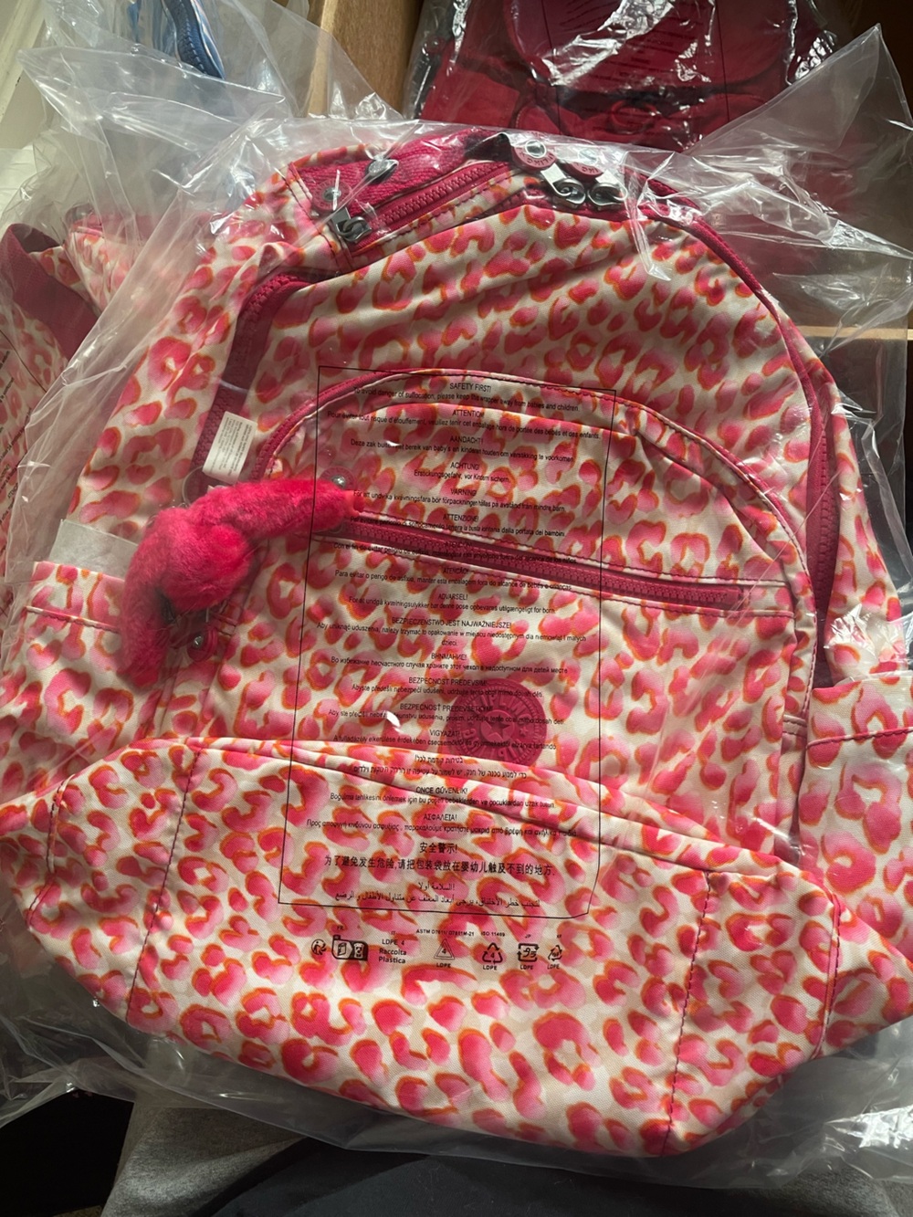 Kipling Bag
